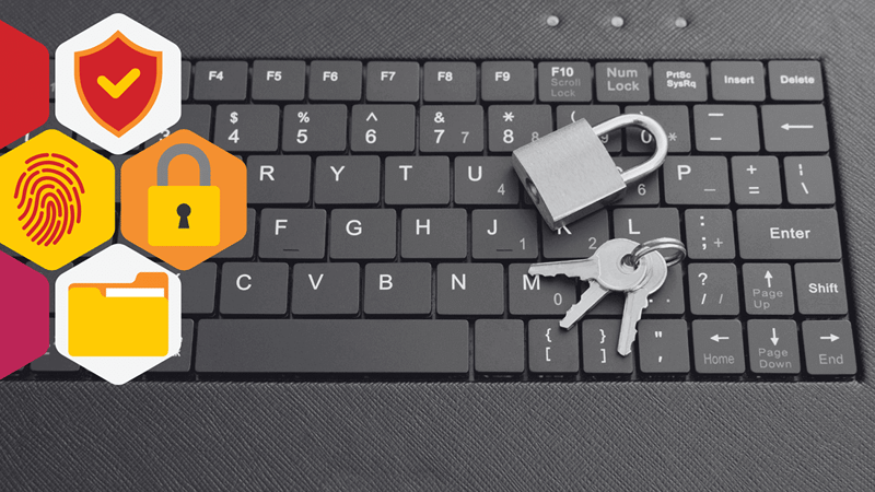 Verify Before You Vibe: Why Verification Behaviors Are Now a Core Security Control