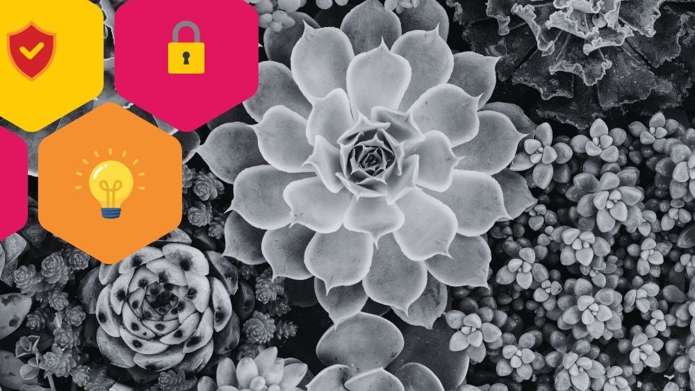 What Is Workforce Risk Intelligence in Cybersecurity?