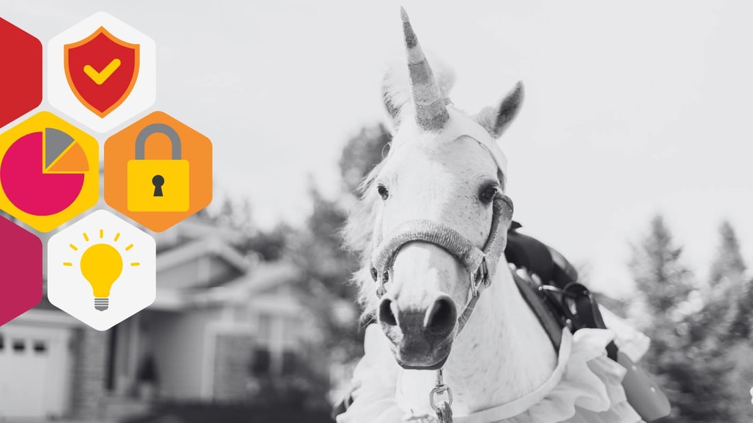 CYBER SECURITY AWARENESS: ROLE, UNICORN, OR SERVICE?