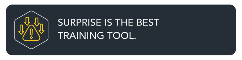 W5 Surprise is the best training tool