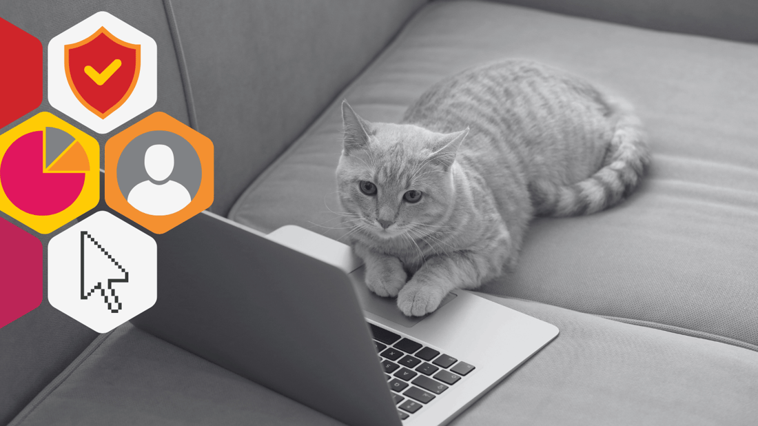 a cat rests on the couch with his paws on a keyboard