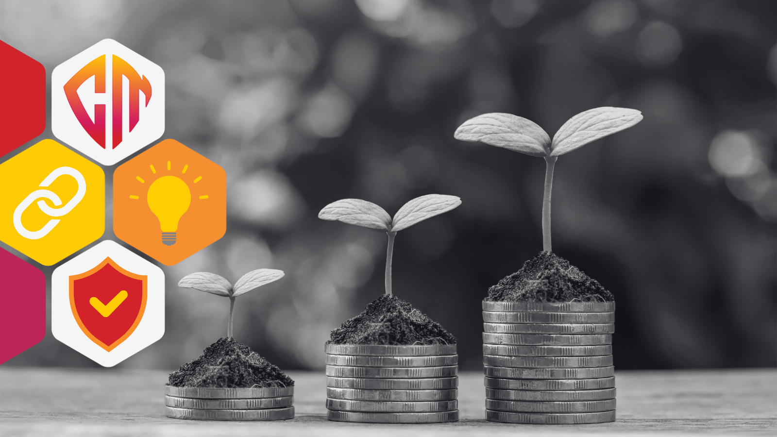 Culture Debt: The Silent Risk That Compounds Like Technical Debt