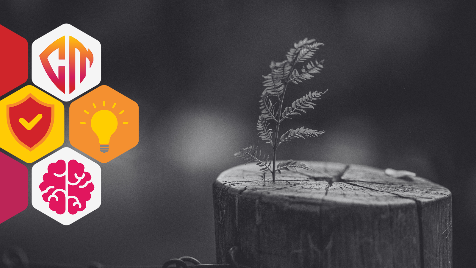 Resilience Is the New Compliance