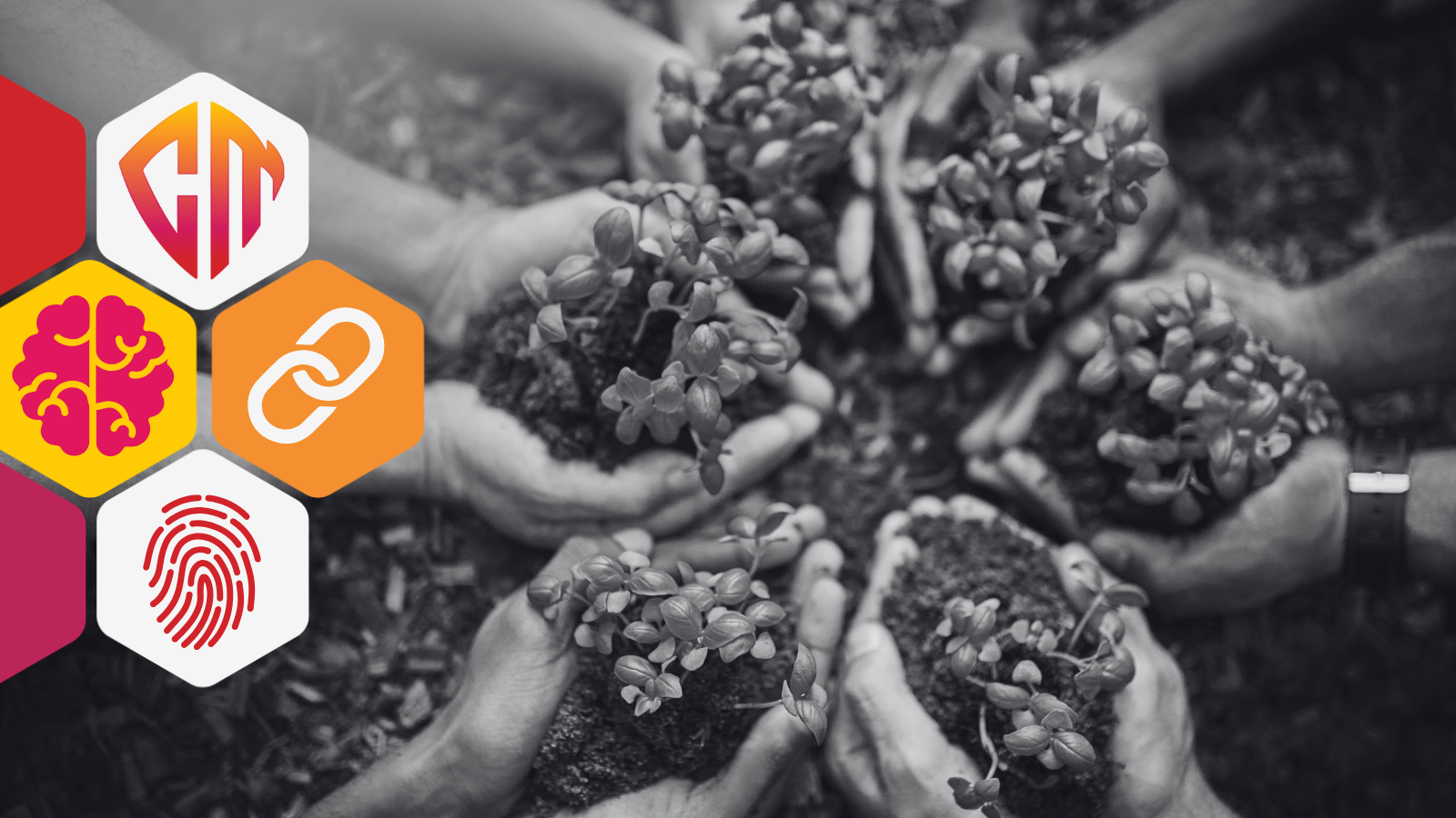 Navigating the Global Landscape of AI Governance: Workforce Compliance